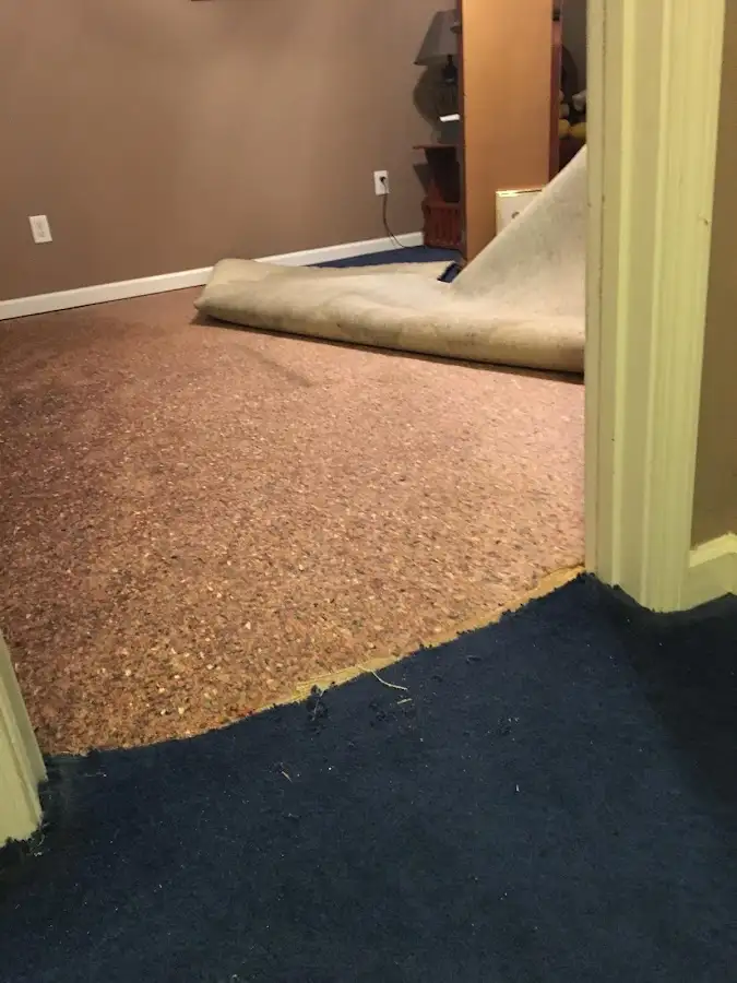Carpet pad removal revealing water damage during Water Mitigation Services in Eaton